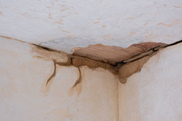 Best Water damage contractors near me  in Mount Gay Shamrock, WV