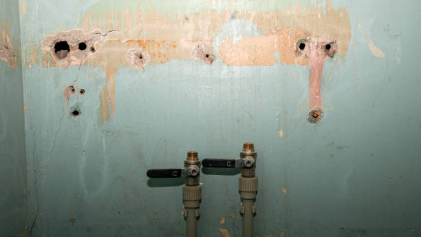  Mount Gay Shamrock, WV Water damage restoration Pros