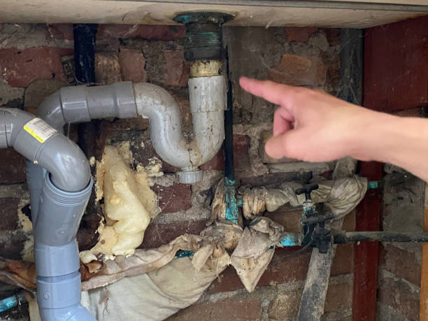 Best Fire Damage Restoration  in Mount Gay Shamrock, WV